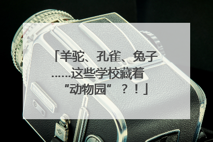 羊驼、孔雀、兔子……这些学校藏着 “动物园”？！