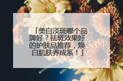 美白淡斑哪个品牌好？祛斑效果好的护肤品推荐，焕白肌肤养成系！