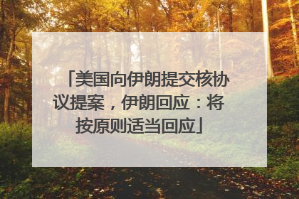 美国向伊朗提交核协议提案，伊朗回应：将按原则适当回应
