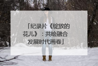 纪录片《绽放的花儿》：共绘融合发展时代画卷