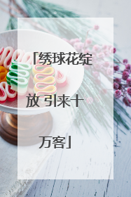 绣球花绽放 引来十万客
