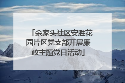 余家头社区安胜花园片区党支部开展廉政主题党日活动