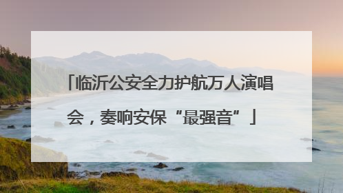 临沂公安全力护航万人演唱会，奏响安保“最强音”