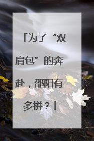 为了“双肩包”的奔赴，邵阳有多拼？