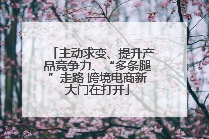 主动求变、提升产品竞争力、“多条腿”走路 跨境电商新大门在打开