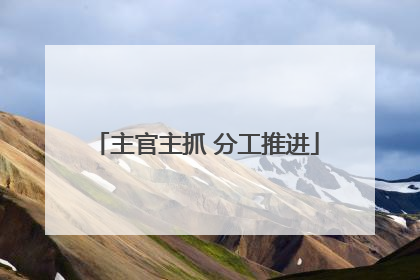 主官主抓 分工推进