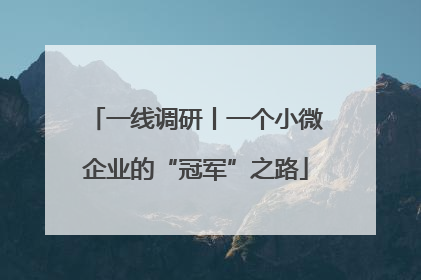 一线调研丨一个小微企业的“冠军”之路