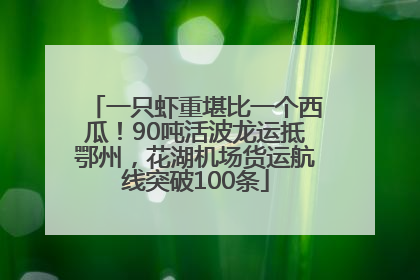 一只虾重堪比一个西瓜！90吨活波龙运抵鄂州，花湖机场货运航线突破100条