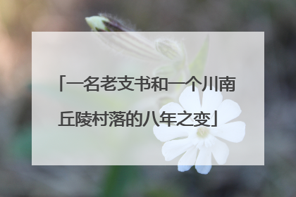 一名老支书和一个川南丘陵村落的八年之变