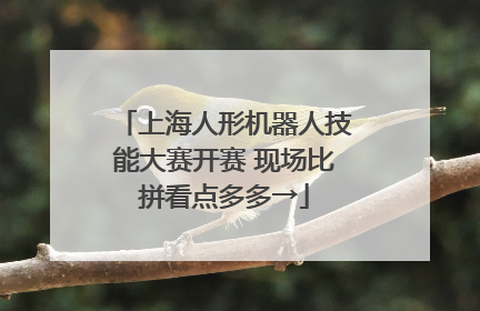 上海人形机器人技能大赛开赛 现场比拼看点多多→