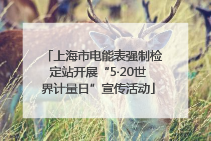 上海市电能表强制检定站开展“5·20世界计量日”宣传活动