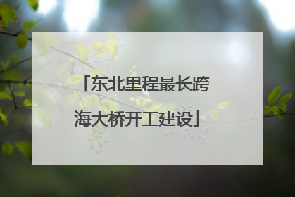 东北里程最长跨海大桥开工建设