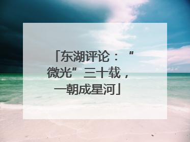 东湖评论：“微光”三十载，一朝成星河