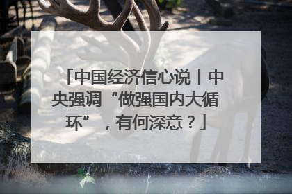 中国经济信心说丨中央强调“做强国内大循环”，有何深意？