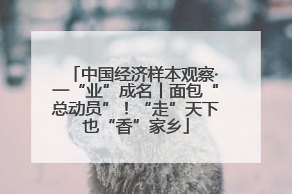 中国经济样本观察·一“业”成名丨面包“总动员”！“走”天下也“香”家乡