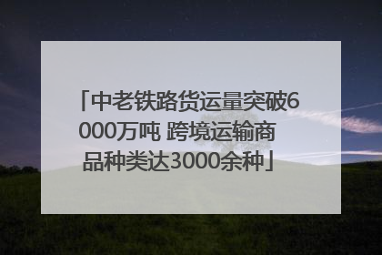 中老铁路货运量突破6000万吨 跨境运输商品种类达3000余种