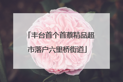 丰台首个首蔡精品超市落户六里桥街道