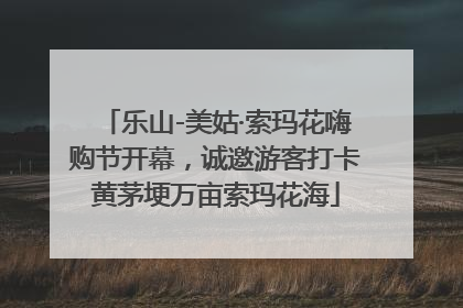 乐山-美姑·索玛花嗨购节开幕，诚邀游客打卡黄茅埂万亩索玛花海