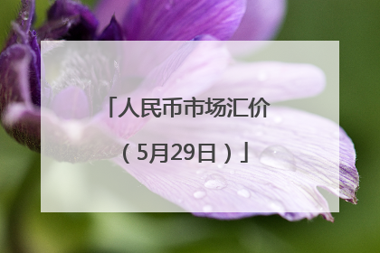 人民币市场汇价（5月29日）
