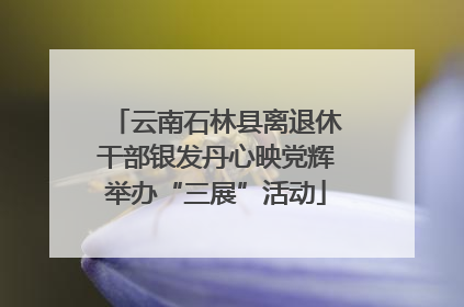云南石林县离退休干部银发丹心映党辉举办“三展”活动
