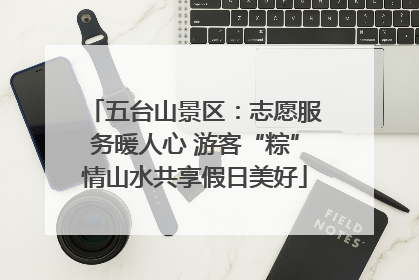 五台山景区：志愿服务暖人心 游客“粽”情山水共享假日美好