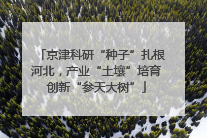 京津科研“种子”扎根河北，产业“土壤”培育创新“参天大树”