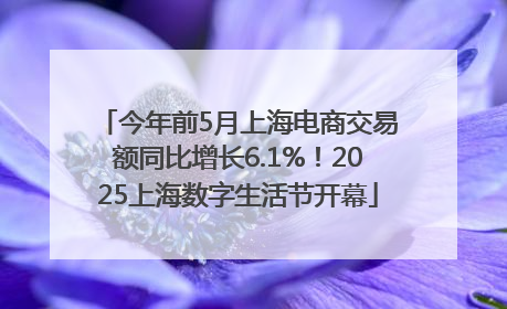 今年前5月上海电商交易额同比增长6.1%！2025上海数字生活节开幕