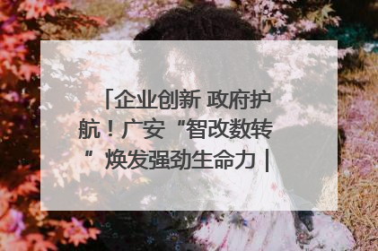 企业创新 政府护航！广安“智改数转”焕发强劲生命力｜市州焕新力
