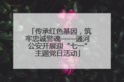 传承红色基因，筑牢忠诚警魂——通河公安开展迎“七一”主题党日活动