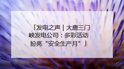 发电之声｜大唐三门峡发电公司：多彩活动扮亮“安全生产月”