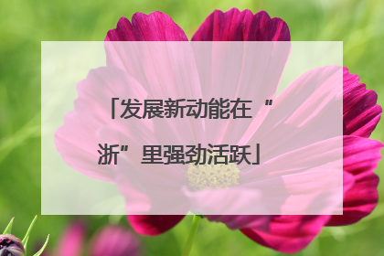 发展新动能在“浙”里强劲活跃