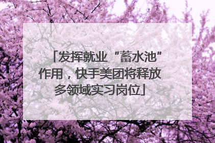 发挥就业“蓄水池”作用，快手美团将释放多领域实习岗位