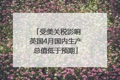 受美关税影响 英国4月国内生产总值低于预期