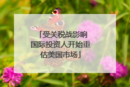 受关税战影响 国际投资人开始重估美国市场