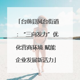 台前县凤台街道：“三向发力”优化营商环境 赋能企业发展新活力