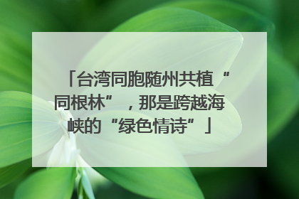 台湾同胞随州共植“同根林”，那是跨越海峡的“绿色情诗”