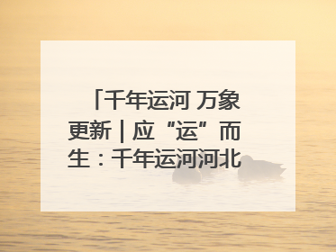 千年运河 万象更新｜应“运”而生：千年运河河北沧州段展新颜