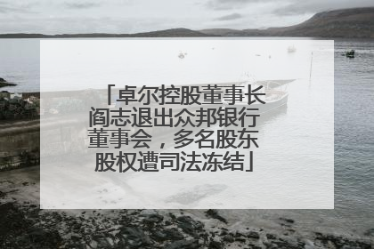 卓尔控股董事长阎志退出众邦银行董事会，多名股东股权遭司法冻结