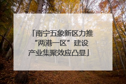 南宁五象新区力推“两港一区”建设 产业集聚效应凸显