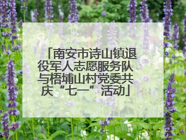 南安市诗山镇退役军人志愿服务队与梧埔山村党委共庆“七一”活动