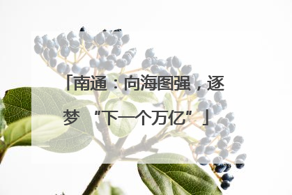 南通：向海图强，逐梦 “下一个万亿”