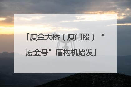 厦金大桥（厦门段）“厦金号”盾构机始发