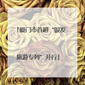 厦门市首趟“银发旅游专列”开行
