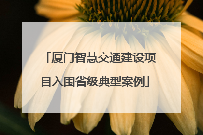 厦门智慧交通建设项目入围省级典型案例