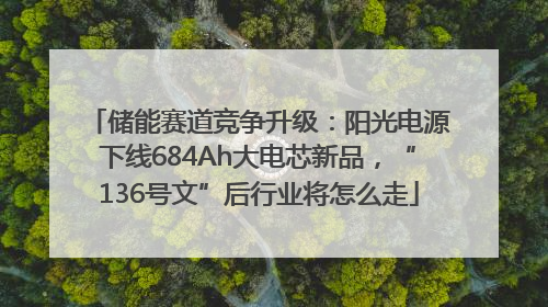 储能赛道竞争升级：阳光电源下线684Ah大电芯新品，“136号文”后行业将怎么走
