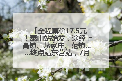 全程票价17.5元！泰山站始发，途经上高镇、燕家庄、范镇……终点站东营站，7月1日开通！