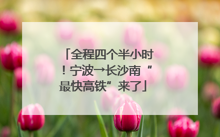 全程四个半小时！宁波→长沙南“最快高铁”来了