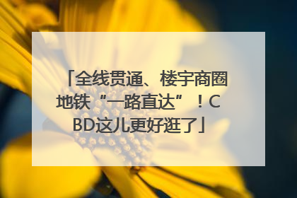 全线贯通、楼宇商圈地铁“一路直达”！CBD这儿更好逛了
