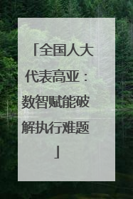 全国人大代表高亚：数智赋能破解执行难题