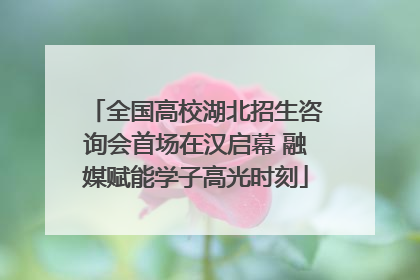 全国高校湖北招生咨询会首场在汉启幕 融媒赋能学子高光时刻